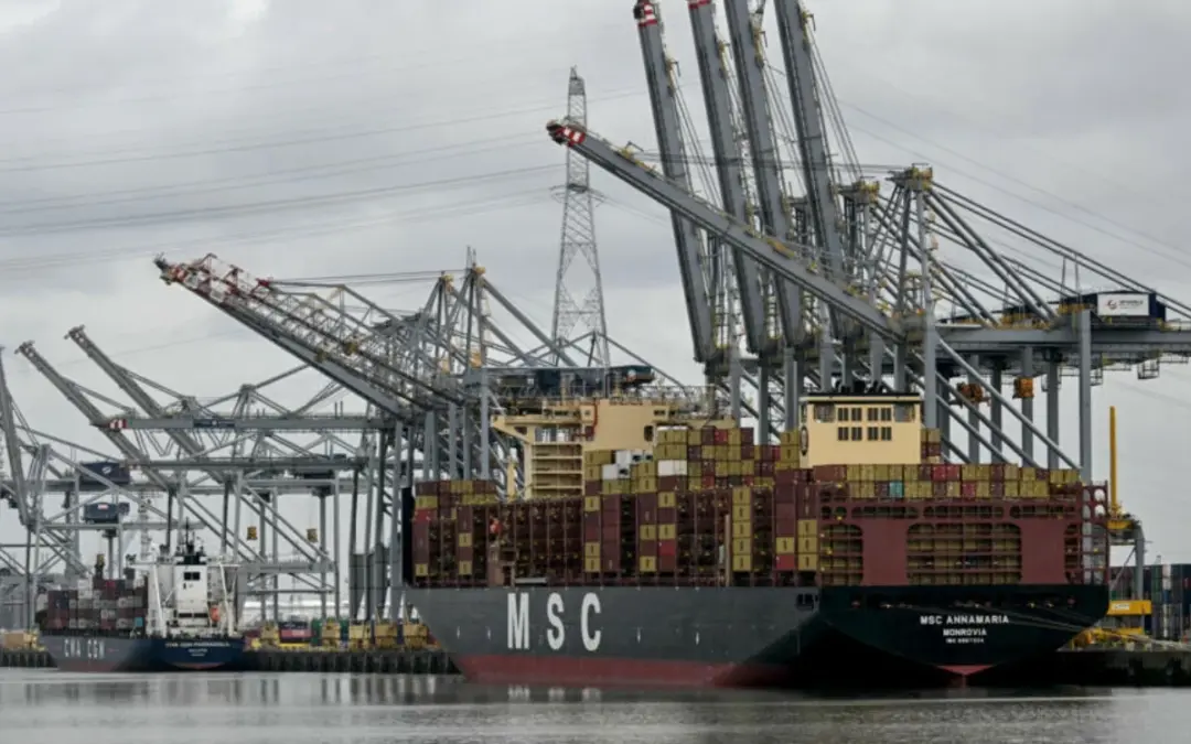 Un vertido de crudo paraliza el Puerto de Amberes, el segundo más importante de Europa - Foto: Redes sociales