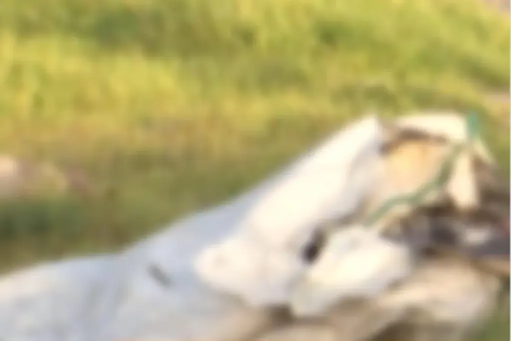 Hallazgo de un cuerpo envuelto en bolsas conmociona a la localidad de Kennedy, Bogotá. La Policía Metropolitana investiga el crimen tras la alerta de un reciclador - Foto: Captura de video