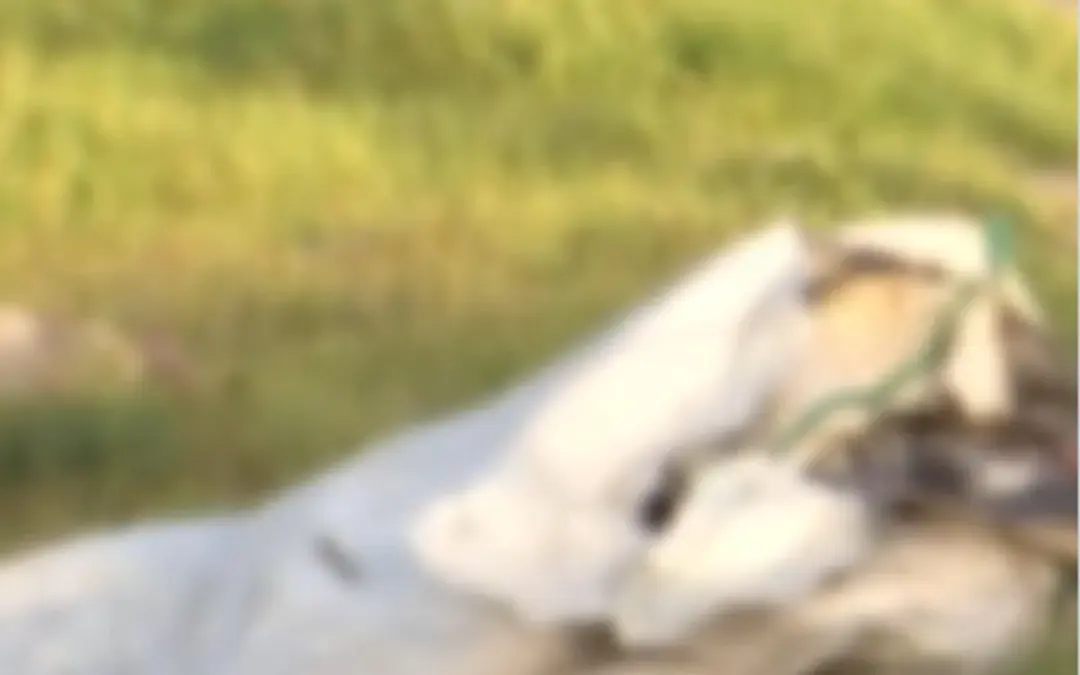 Hallazgo de un cuerpo envuelto en bolsas conmociona a la localidad de Kennedy, Bogotá. La Policía Metropolitana investiga el crimen tras la alerta de un reciclador - Foto: Captura de video