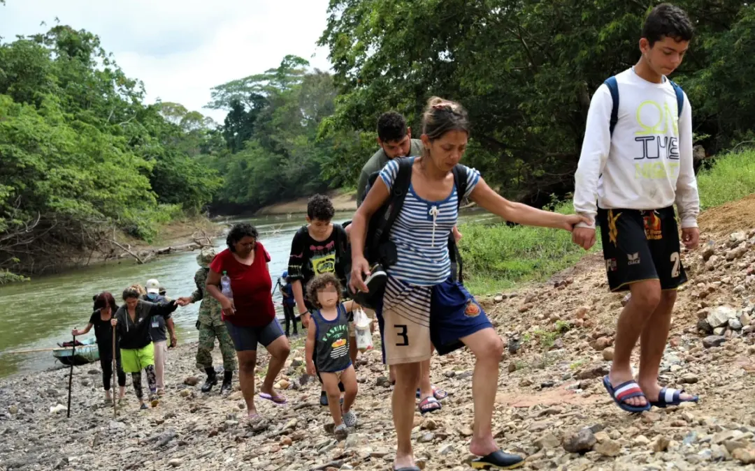 El Proyecto Migrantes Desaparecidos de la OIM revela que 7,900 personas perdieron la vida en rutas migratorias durante 2025 - Foto: @UNmigration