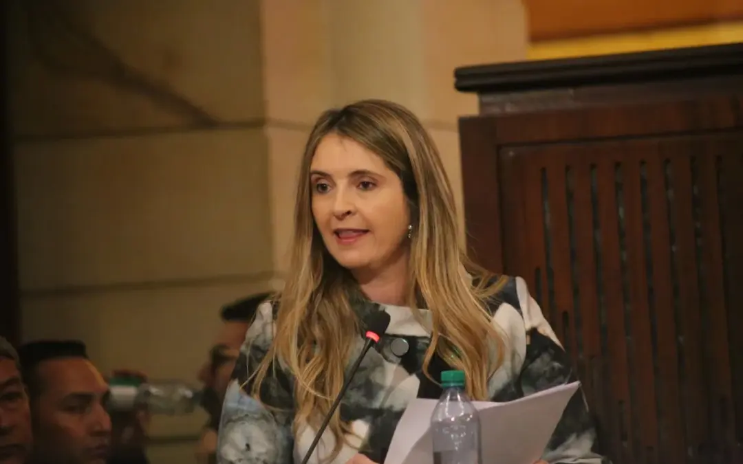 El ministro de Defensa, Pedro Sánchez, confirmó que tras labores de inteligencia se desestimó el plan de atentado contra Paloma Valencia - Foto: @SenadoGovCo