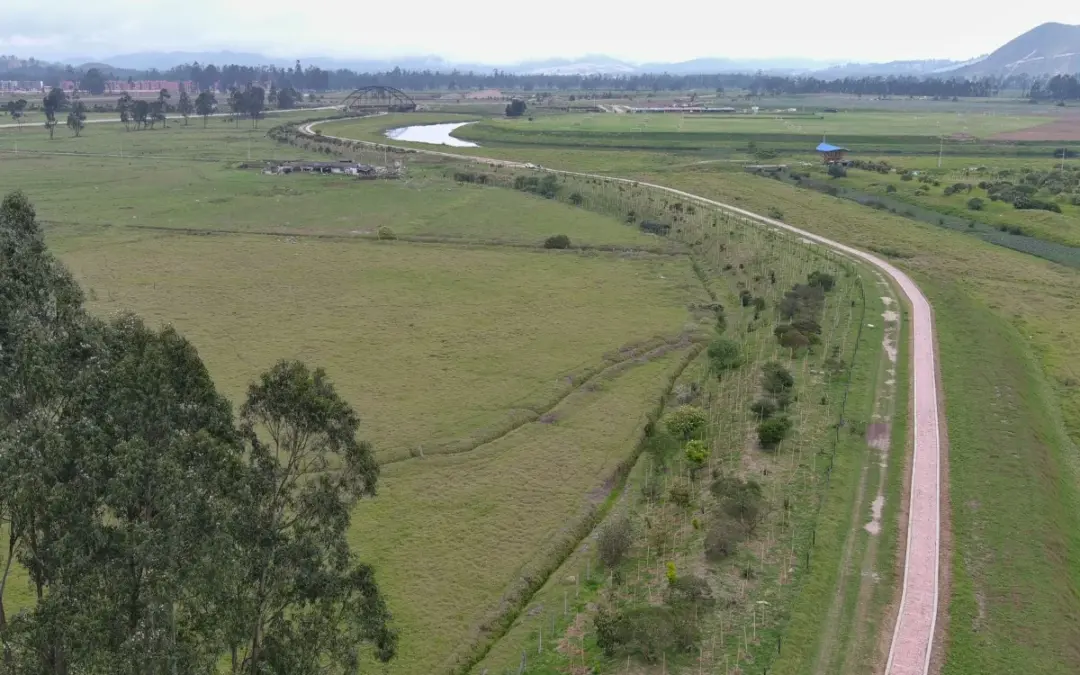 La CAR Cundinamarca finaliza cuatro áreas multifuncionales en la cuenca media del río Bogotá, restaurando 116 hectáreas para el control de inundaciones y la biodiversidad - Foto: @CAR_Cundi