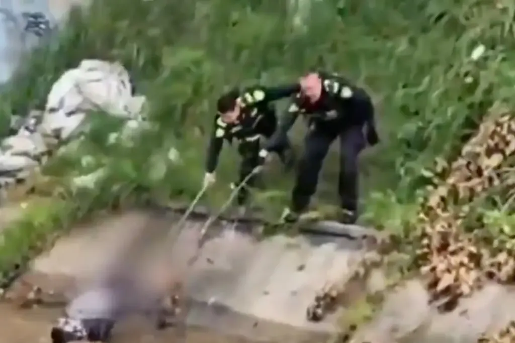Policías de la localidad de Antonio Nariño arriesgaron sus vidas para rescatar a un habitante en condición de calle de 31 años que era arrastrado por el río Fucha en el sur de Bogotá - Foto: Captura de video