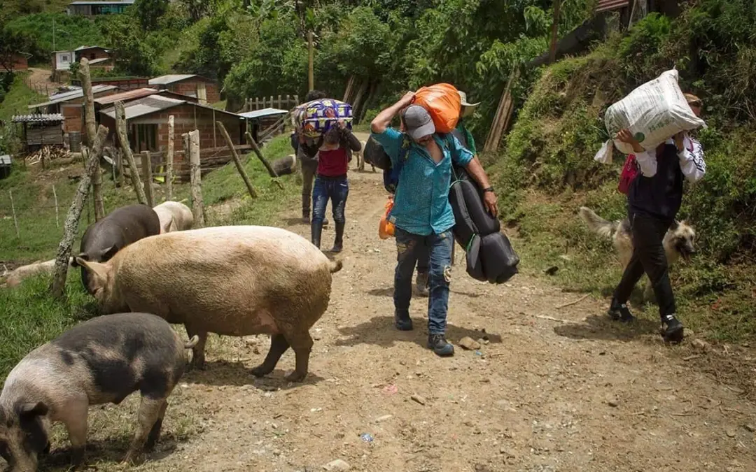 El Consejo Noruego para Refugiados alertó que Colombia, Ecuador y Honduras figuran entre las 10 crisis de desplazamiento más desatendidas del mundo en 2025 - Foto: Redes sociales
