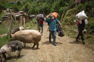 El Consejo Noruego para Refugiados alertó que Colombia, Ecuador y Honduras figuran entre las 10 crisis de desplazamiento más desatendidas del mundo en 2025 - Foto: Redes sociales