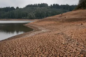 El Gobierno Nacional de Colombia expidió el Decreto 0802 de 2026 para declarar el desastre nacional ante la amenaza inminente del fenómeno de El Niño - Foto: Redes sociales