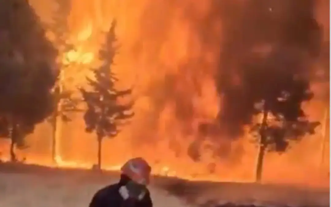 Los incendios forestales en Madrid y Ávila se ralentizan, pero las autoridades aceleran las labores de control ante una nueva ola de calor prevista para mitad de semana - Foto: Captura de video