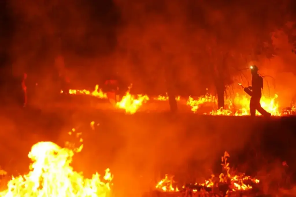 Una ola de incendios forestales sin precedentes devasta más de 175.000 hectáreas en España y obliga a evacuaciones masivas en el suroeste de Francia tras el avance de "tormentas de fuego" - Foto: Redes sociales