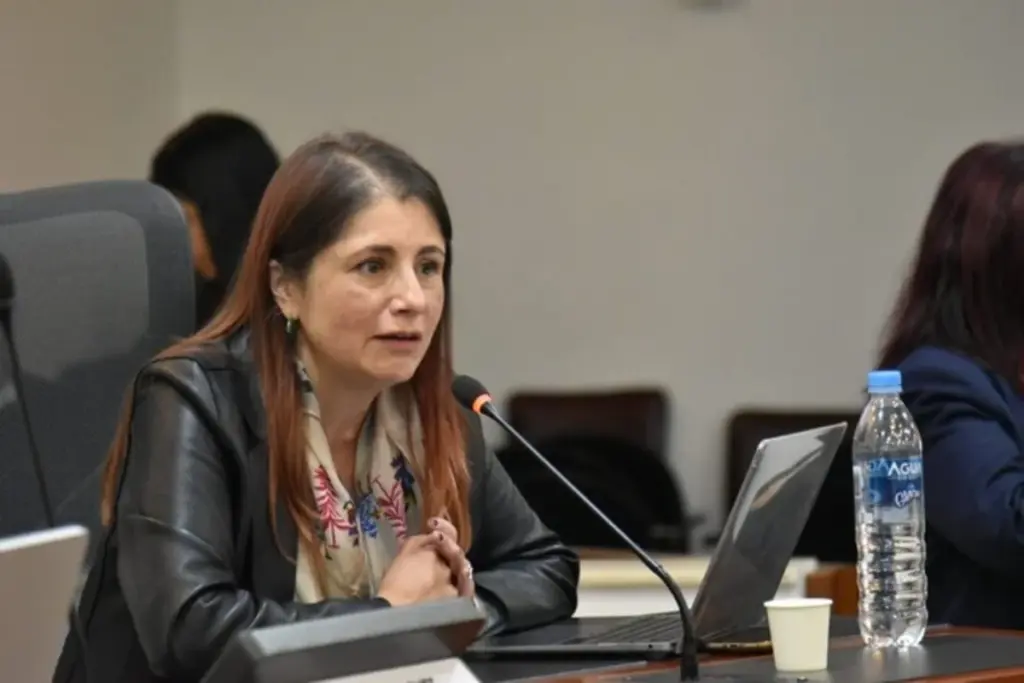 La defensora del Pueblo, Iris Marín Ortíz, solicitó formalmente una reunión de alto nivel con el presidente electo Abelardo de la Espriella y el vicepresidente electo José Manuel Restrepo para articular la hoja de ruta de los derechos humanos en el periodo 2026-2030 - Foto: Redes sociales