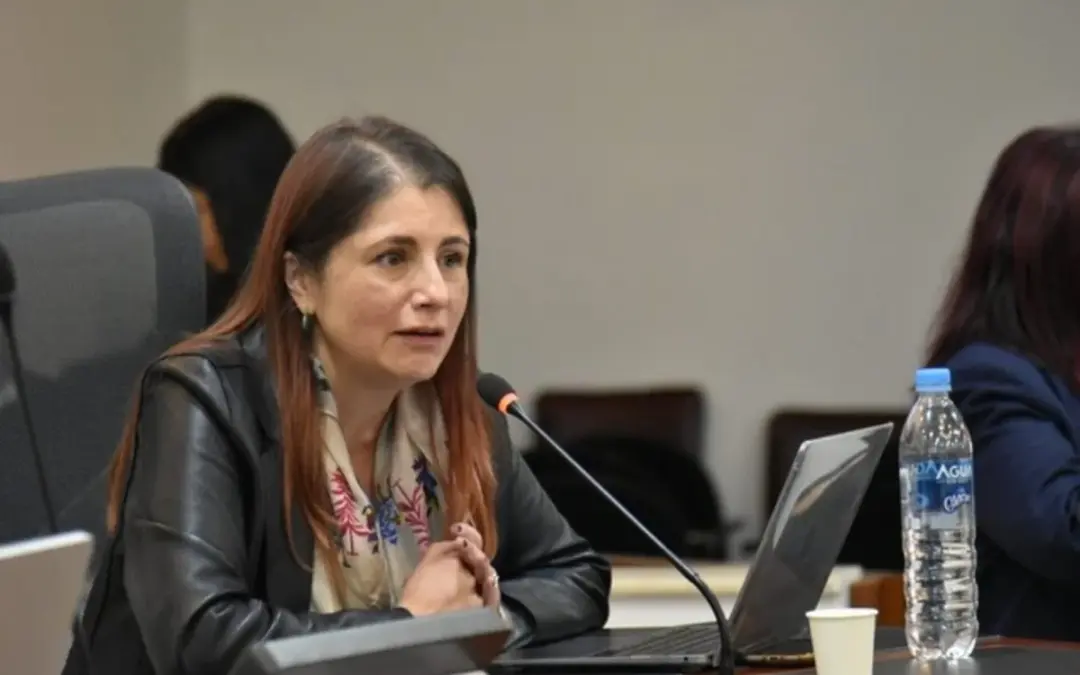 La defensora del Pueblo, Iris Marín Ortíz, solicitó formalmente una reunión de alto nivel con el presidente electo Abelardo de la Espriella y el vicepresidente electo José Manuel Restrepo para articular la hoja de ruta de los derechos humanos en el periodo 2026-2030 - Foto: Redes sociales