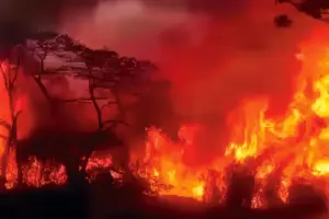 La UNGRD reportó 12 incendios forestales activos en Colombia, con Tolima como el departamento más afectado - Foto: Captura de video
