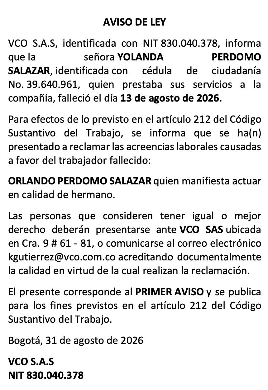 pauta elespaciodigital