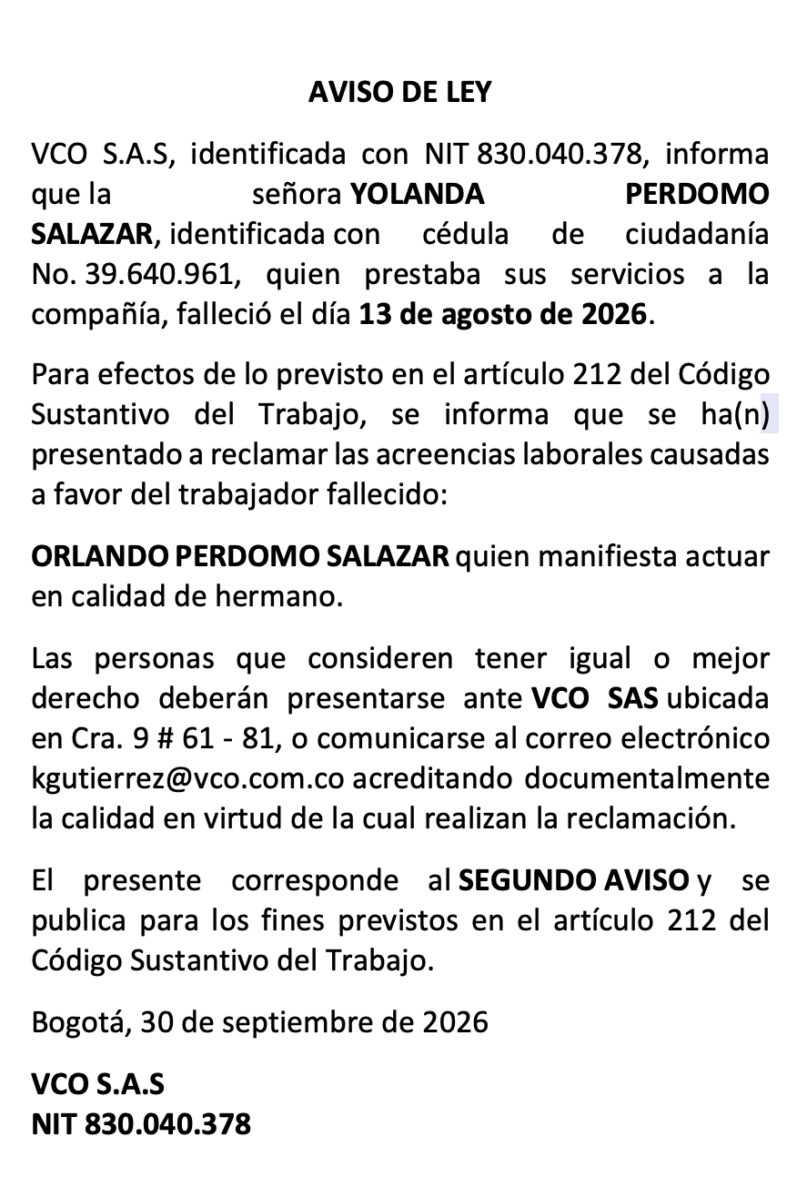 pauta elespaciodigital