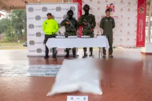 Cinco presuntos integrantes de las estructuras Carlos Patiño y Dagoberto Ramos, de las disidencias de las Farc, murieron en operaciones militares en Cauca - Foto: @COL_EJERCITO