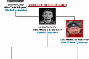 Alias 'Robinson Gutiérrez' integrante de la estructura armada llevaba cerca de 35 años en organizaciones guerrilleras y era señalado de sostener las finanzas del grupo mediante extorsiones y otras actividades criminales en el sur del país - Foto: @COL_EJERCITO