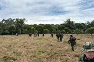 El Gobierno de Abelardo De La Espriella ordenó finalizar la Zona de Ubicación Temporal en Valle del Guamuez, Putumayo, donde permanecían exintegrantes de Comandos de la Frontera - Foto: Redes sociales